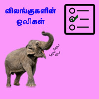 பாடங்கள்