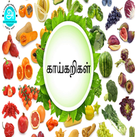பாடங்கள்