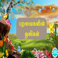 பாடங்கள்
