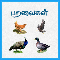 பாடங்கள்