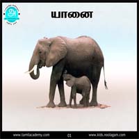 பாடங்கள்