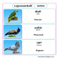 பாடங்கள்