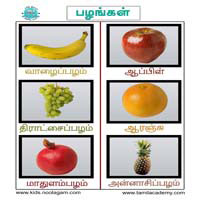 பாடங்கள்