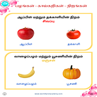 பாடங்கள்