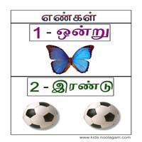 பாடங்கள்