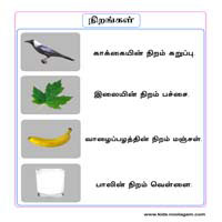 பாடங்கள்