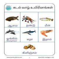பாடங்கள்