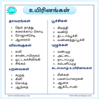 பாடங்கள்