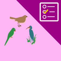 பாடங்கள்