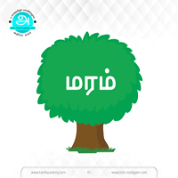 பாடங்கள்