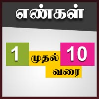 பாடங்கள்