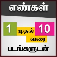 பாடங்கள்