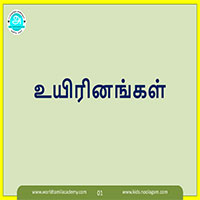 பாடங்கள்