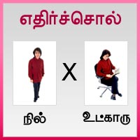 பாடங்கள்