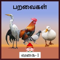 பாடங்கள்