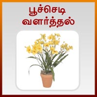 பாடங்கள்