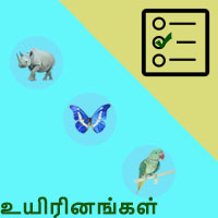 பாடங்கள்