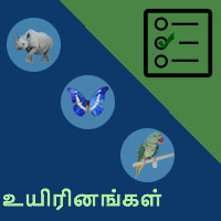 பாடங்கள்