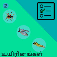 பாடங்கள்
