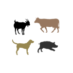 பண்ணை விலங்குகள்